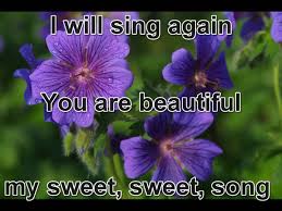 Third Day You Are So Good To Me One Of The Greatest Christian Bands And Best Concert I Ve Been To Song About The Fathe Purple Flowers Pretty Flowers Flowers