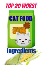 20 Cat Food Ingredients To Avoid Cheap Cat Food Ingredients Food Industry