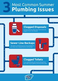 Check spelling or type a new query. 3 Common Summer Plumbing Problems Blue Sky Plumbing