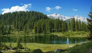 From baguettes to bagels to focaccia to flatbread to ciabatta to croissants; Rundtour Zu Den Seen Von San Giuliano Trentino Dolomiten Italien