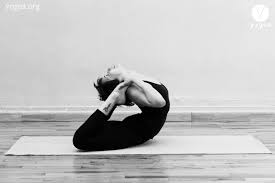 Rajakapotasana King Cobra Pose Yogea Yoga Outside Of The Box Cobra Pose Poses Yoga Asanas
