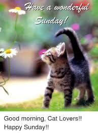 Maybe you would like to learn more about one of these? Facebook