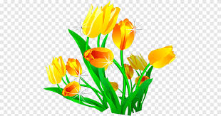 مصمم توليب زنبق أزهار أورانج Png