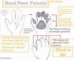 Feral Hand Paws-Tutorial-* by The_Furry_Art_Academy -- Fur Affinity [dot]  net
