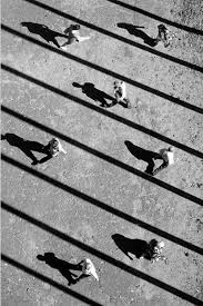 Black And White Fashion Photography Landscape 50 Great Black And White Photographs From The Masters Of Photography Part 3 Steemit In 2020 Fan Ho Black And White Photography Portraits White Fashion Photography