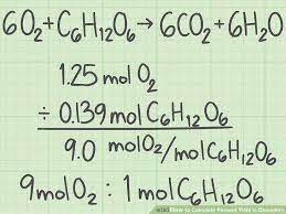 How To Calculate Percentage Yield In Chemistry How To Wiki 89