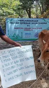 Pengalaman menyembelih lembu di hari raya korban 1441h. 10 Hari Lagi Raya Korban Islam Itu Indah