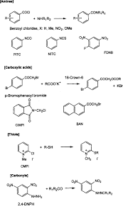 Phentermine An Overview Sciencedirect Topics