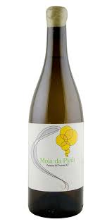 Image result for Passerina