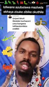 Understanding the Signs of Unwanted Animals in Your Home