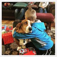 Are Emotional Support Dogs Allowed In Public Places Esa Doctors