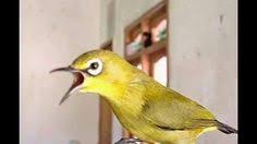 Map, wold map, technology, world, scaner, digital, time zone. Indoraxi Indoraxi Profile Pinterest