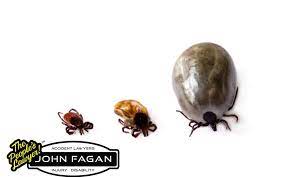 Click to see full answer. Ticks In Florida Accident Lawyer John Fagan