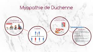 Muscles squelettiques, muscle cardiaque et muscles lisses. Myopathie De Duchenne By Lea Mayette