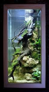Awesome 50 Stunning Aquarium Design Ideas For Indoor Decorations Modernhouseide Check More At Https Aquariumdesingideas Duydai Akvaryumlar Akvaryum Bitki