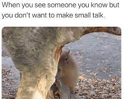 Morning Wake Up Call Fresh Animal Memes October 25th 2020 Animal Memes Animals Memes