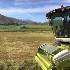 A family owned agricultural contracting business based in mid canterbury, new zealand. Quigley Contracting Home Facebook