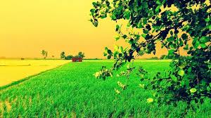 Image result for villageof pAKIAANI lifestyle way of living