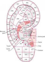 laser auriculo diagnostic auricular acupuncture doctor