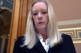 Taxpayer funded lobbyist testifies against school bathroom bill