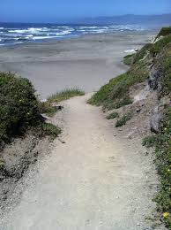 Mackerricher State Park Ten Mile Beach Trail Mendocino Camping Fort Bragg California State Parks