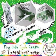 Frog Life Cycle Craftivity 3d Tetrahexaflexagon Lifecycle Of A Frog Cycle For Kids Life Cycle Craftivity