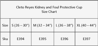 Cleto Reyes Kidney And Foul Padded Protective Cup Black
