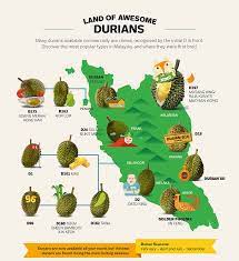 Usda nrcs national plant data center. Durian Info A Beginner S Guide To Durian By Tourism Malaysia