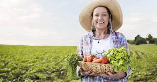 Como, por exemplo, o aumento de 385% da nossa produtividade, nos últimos 40 anos, com um incremento de apenas 32% da área. Dia Do Agricultor A Importancia Da Defesa Da Agricultura Familiar