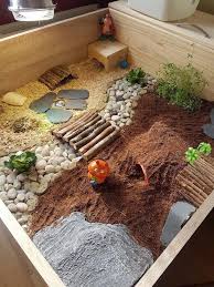 Tortoise Table Has Live Food Now Tortoise Table Tortoise Habitat Tortoise Care