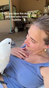 Estelle Bird's Instagram, Twitter & Facebook