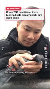 fix my neck, my back pls #tiktoksg #sgnews