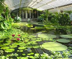Veja 9.970 dicas 57.222 fotos e ótimas ofertas para 30 hotéis e pousadas em munique no tripadvisor. Botanischer Garten Munchen Nymphenburg Bild 4 Living At Home