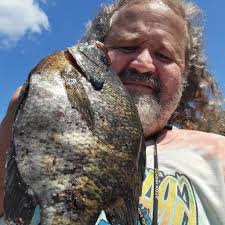 Bream Fishing Fanatics