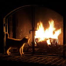 We did not find results for: Five Ways To Keep Your Home Warm This Winter