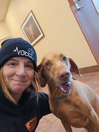 VCA South Shore (Weymouth) Animal Hospital