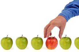 Como Elegir Que Hacer Con Efectividad Control Y Perspectiva
