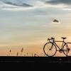 Wenn hier schmerzen auftreten, ist der spaß für biker oft vorbei. Https Encrypted Tbn0 Gstatic Com Images Q Tbn And9gctnhe Ajr5jcw4znfinj Llf9k4vnhdglnxohkshwy Usqp Cau