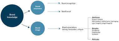 Brand equity is the holy grail in the subject of branding.the ultimate objective of a branding team is to increase the brand equity of an organization. Week 2 Brand Equity Positioning Diagram Quizlet