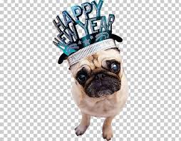 happy new year dog png happy new year holidays happy new year dog happy new happy