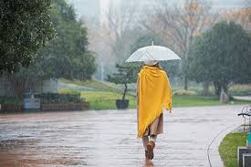 Изучаем китайский язык с нуля! å…¬å›­ä¸‹é›¨å›¾ç‰‡ å…¬å›­ä¸‹é›¨ç´ æ å…¬å›­ä¸‹é›¨é«˜æ¸…å›¾ç‰‡ æ'„å›¾ç½'å›¾ç‰‡ä¸‹è½½
