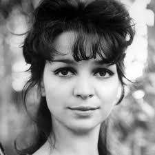 Watch Alice Doesn't Live Here Anymore (1974) Full Movie Online