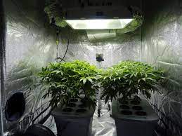 We did not find results for: Growroom Wikipedia