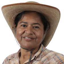 Julia Leon Zenteno Candidata A Diputados Locales Mayoria Relativa Por  Partido AcciÓn Nacional Tabasco