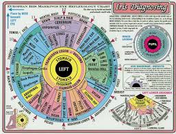 Iridology Healing Ways Iridology Chart Iridology Chart