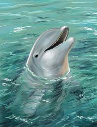 Potbellied pigs and other farm animal pets. Sarasota S Beggar The Dolphin Loved To Death Sarasota Magazine