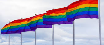 ^ marcha del orgullo lgbtiq (in spanish). Innsbruck Experten Fordern Fur Lgbtiq Platz In Kirche