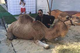 Find out how the nar works for consumers and realtors®. Teen Gets Camel Sand Cars And Three Dates For High School Prom