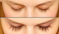 L Ingredient Incontournable Pour Faire Pousser Les Cheveux Les Cils Ou Les Sourcils Faire Pousser Les Cils Faire Pousser Les Sourcils Faire Pousser Les Cheveux