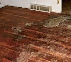 11 Wood Flooring 11 Wood Flooring Problems And Their Solutions For Flawless Wood Floors Avoid These In Old Wood Floors Wood Floor Repair Cleaning Wood Floors